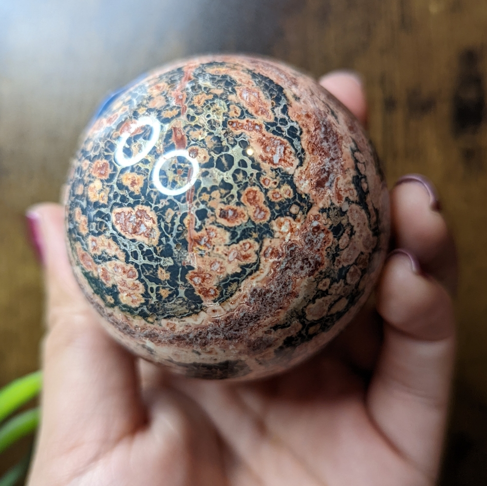🐆 leopard Jasper sphere 🐆
